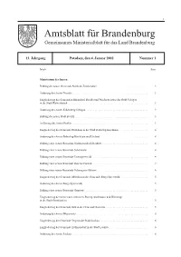 Amtsblatt 01 02.Pdf