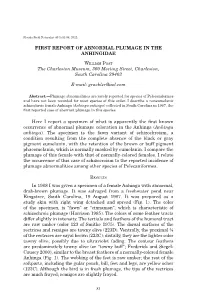 First Report of Abnormal Plumage in the Anhingidae
