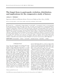 The Limpet Form in Gastropods: Evolution, Distribution, and Implications for the Comparative Study of History