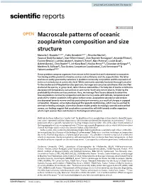 Macroscale Patterns of Oceanic Zooplankton Composition and Size Structure Manoela C