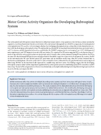 Motor Cortex Activity Organizes the Developing Rubrospinal System