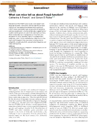 What Can Mice Tell Us About Foxp2 Function?