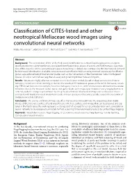 Classification of CITES-Listed and Other Neotropical Meliaceae Wood Images Using Convolutional Neural Networks
