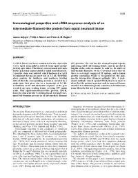 Immunological Properties and Cdna Sequence Analysis of an Intermediate-ﬁlament-Like Protein from Squid Neuronal Tissue