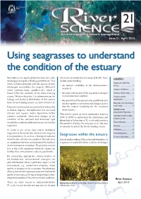 Using Seagrasses to Understand the Condition of the Estuary