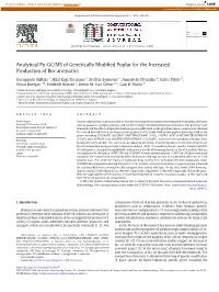 Analytical Py-GC/MS of Genetically Modified Poplar for the Increased