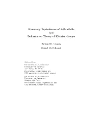 Homotopy Equivalences of 3-Manifolds and Deformation Theory of Kleinian Groups