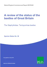 NECR265 Edition 1 a Review of the Status of the Beetles of Great Britain