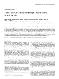 Neural Activity Controls the Synaptic Accumulation Ofα-Synuclein