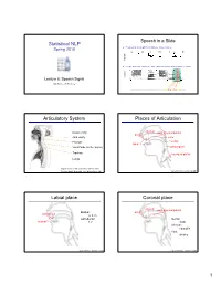 Statistical NLP Articulatory System Places of Articulation Labial Place Coronal Place