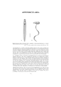 Appendicularia of CTAW