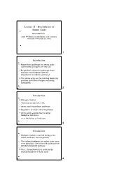 Lecture 11 - Biosynthesis of Amino Acids