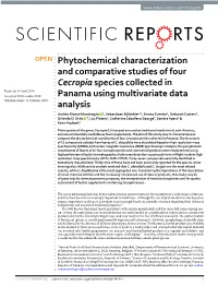 Phytochemical Characterization and Comparative Studies of Four