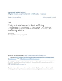 Unique Frontal Sinuses in Fossil and Living Hyaenidae (Mammalia, Carnivora): Description and Interpretation R.M