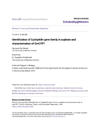Identification of Cyclophilin Gene Family in Soybean and Characterization of Gmcyp1