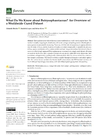 What Do We Know About Botryosphaeriaceae? an Overview of a Worldwide Cured Dataset