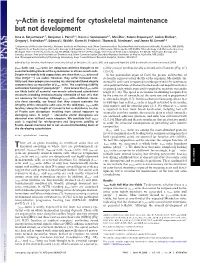 Actin Is Required for Cytoskeletal Maintenance but Not Development
