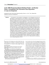 And Nuclear Factor-Κb–Regulated CXC Chemokine Gene Expression in Lung Carcinogenesis