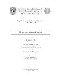 Chiral Extensions of Toroids