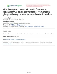From India: a Glimpse Through Advanced Morphometric Toolkits