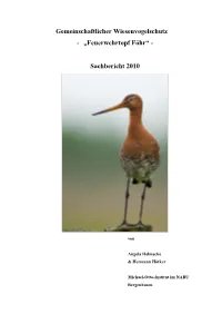 Sachbericht 2010