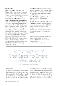 Spring Migration of Great Egrets Into Ontario: an Ebird Analysis