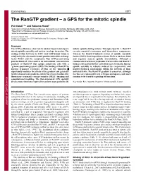 The Rangtp Gradient – a GPS for the Mitotic Spindle