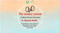 The Urinary System Al Sham Private University Pr