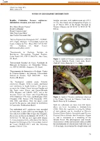 NOTES on GEOGRAPHIC DISTRIBUTION 79 Reptilia