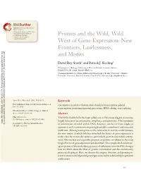 Protists and the Wild, Wild West of Gene Expression