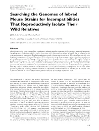 Searching the Genomes of Inbred Mouse Strains for Incompatibilities That Reproductively Isolate Their Wild Relatives