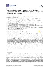 Emerging Roles of the Endoplasmic Reticulum Associated Unfolded Protein Response in Cancer Cell Migration and Invasion