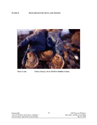 Section 4 Environmental Inventory and Analysis