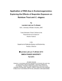 Application of RNA-Seq in Ecotoxicogenomics: Exploring the Effects of Ibuprofen Exposure on Rainbow Trout and C