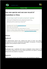 One New Species and One New Record of Zasmidium in China
