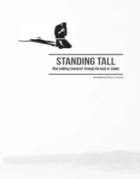 Standing Tall Men Building Character Through the Book of James