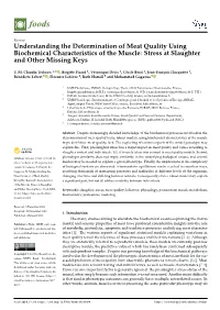 Understanding the Determination of Meat Quality Using Biochemical Characteristics of the Muscle: Stress at Slaughter and Other Missing Keys