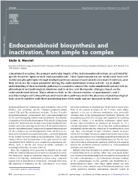Endocannabinoid Biosynthesis and Inactivation, from Simple to Complex