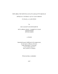 Exploring the Potential Health and Safety Issues of Artisanal and Small-Scale Gold Mining in Ghana
