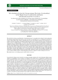 Microhabitat Selection by Octomys Mimax (Rodentia: Octodontidae)