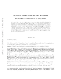 Counting and Effective Rigidity in Algebra and Geometry 2