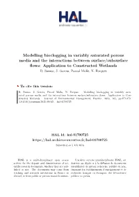 Modelling Bioclogging in Variably Saturated Porous Media and the Interactions Between Surface/Subsurface Flows: Application to Constructed Wetlands R