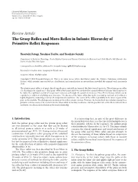 The Grasp Reflex and Moro Reflex in Infants: Hierarchy of Primitive