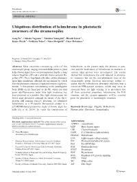 Ubiquitous Distribution of Helmchrome in Phototactic Swarmers of the Stramenopiles