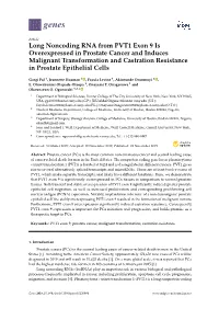 Long Noncoding RNA from PVT1 Exon 9 Is Overexpressed in Prostate Cancer and Induces Malignant Transformation and Castration Resistance in Prostate Epithelial Cells