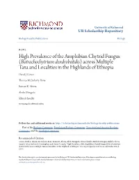High Prevalence of the Amphibian Chytrid Fungus (Batrachochytrium Dendrobatidis) Across Multiple Taxa and Localities in the Highlands of Ethiopia David J