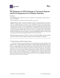 The Response to DNA Damage at Telomeric Repeats and Its Consequences for Telomere Function