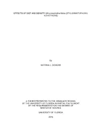 University of Florida Thesis Or Dissertation Formatting