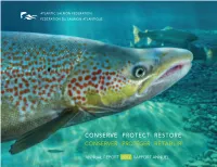 2017 ASF Annual Report