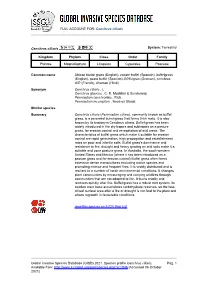 Cenchrus Ciliaris Global Invasive Species Database (GISD)